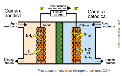 Célula a combustível microbiana transforma esgoto em eletricidade